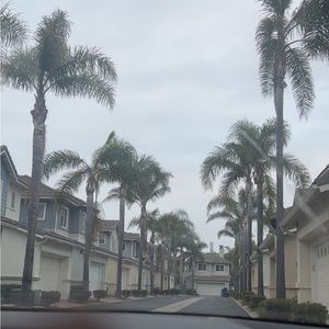 Meet your Posher, Bree